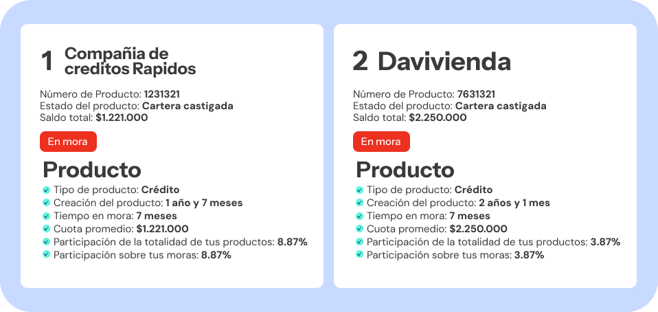 como-se-ve-un-reporte-en-centrales-de-riesgo